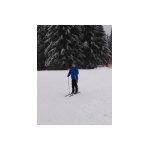 Masserberg Skirennsteiglauf 03.02.2019_6
